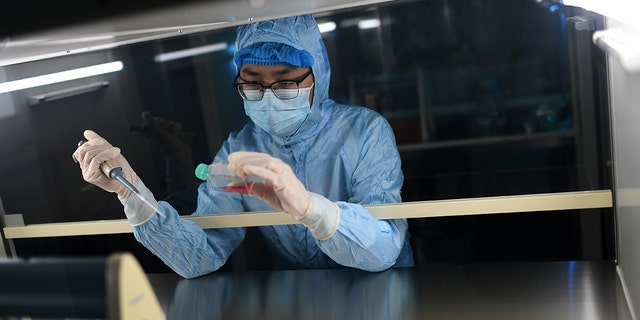 A researcher works in a lab in Wuhan in central China, Hubei province, Oct. 12, 2021. 
