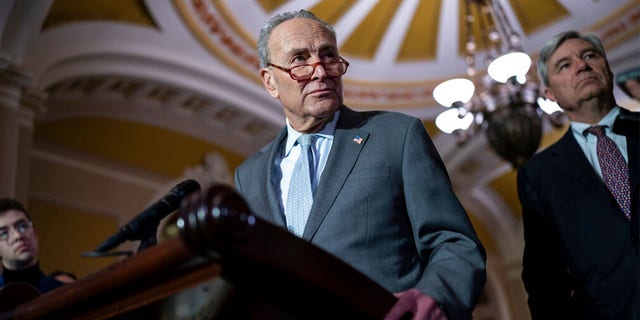 SENATE CHUCK SCHUMER