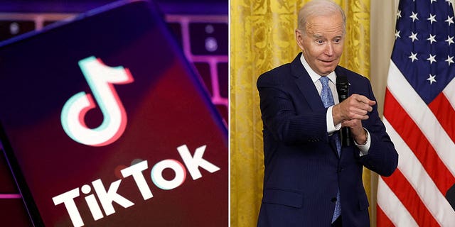 President Biden's administration aborted Trump's plan to force the sale of TikTok to an American company.