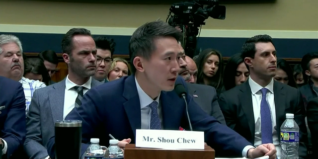 TikTok CEO Shou Zi Chew testified in defense of the Chinese-owned app in March. The hearing revealed just how skeptical both Republicans and Democrats are of the social media app.
