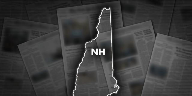 The New Hampshire state Senate has rejected a bill easing civil and criminal penalties under a 2021 law restricting late-term abortions.