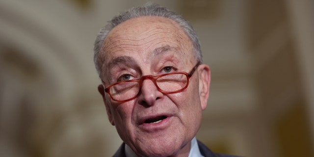 Senate Majority Leader Charles Schumer rejected a resolution that defended law enforcement in 2020.