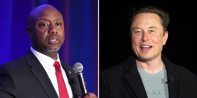 Tim Scott, Elon Musk