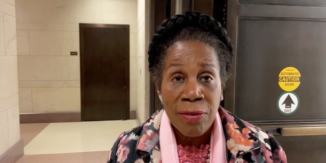 Sheila Jackson Lee discusses fentanyl crisis