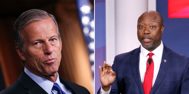 John Thune and Tim Scott