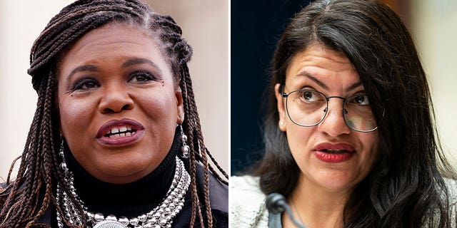 Cori Bush and Rashida Tlaib