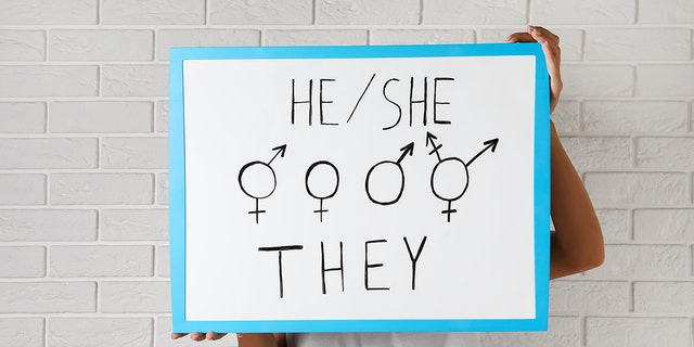 pronouns whiteboard sign