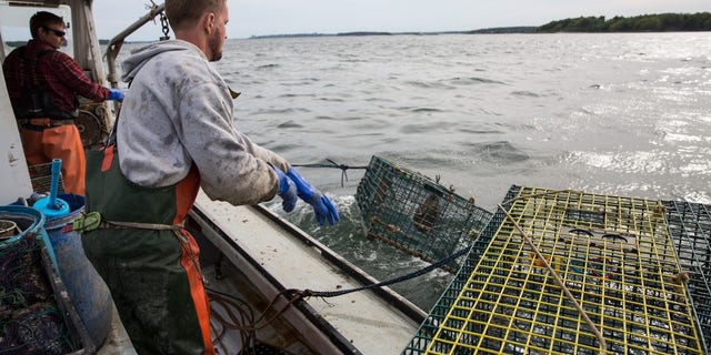 lobstermen at work