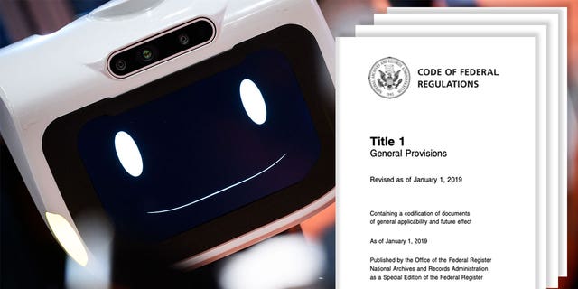 AI federal regulations