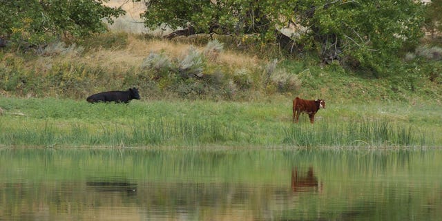 Biden Public Lands