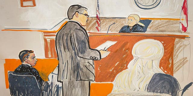 Hunter Biden court sketch