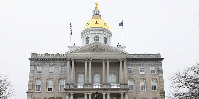 New Hampshire government