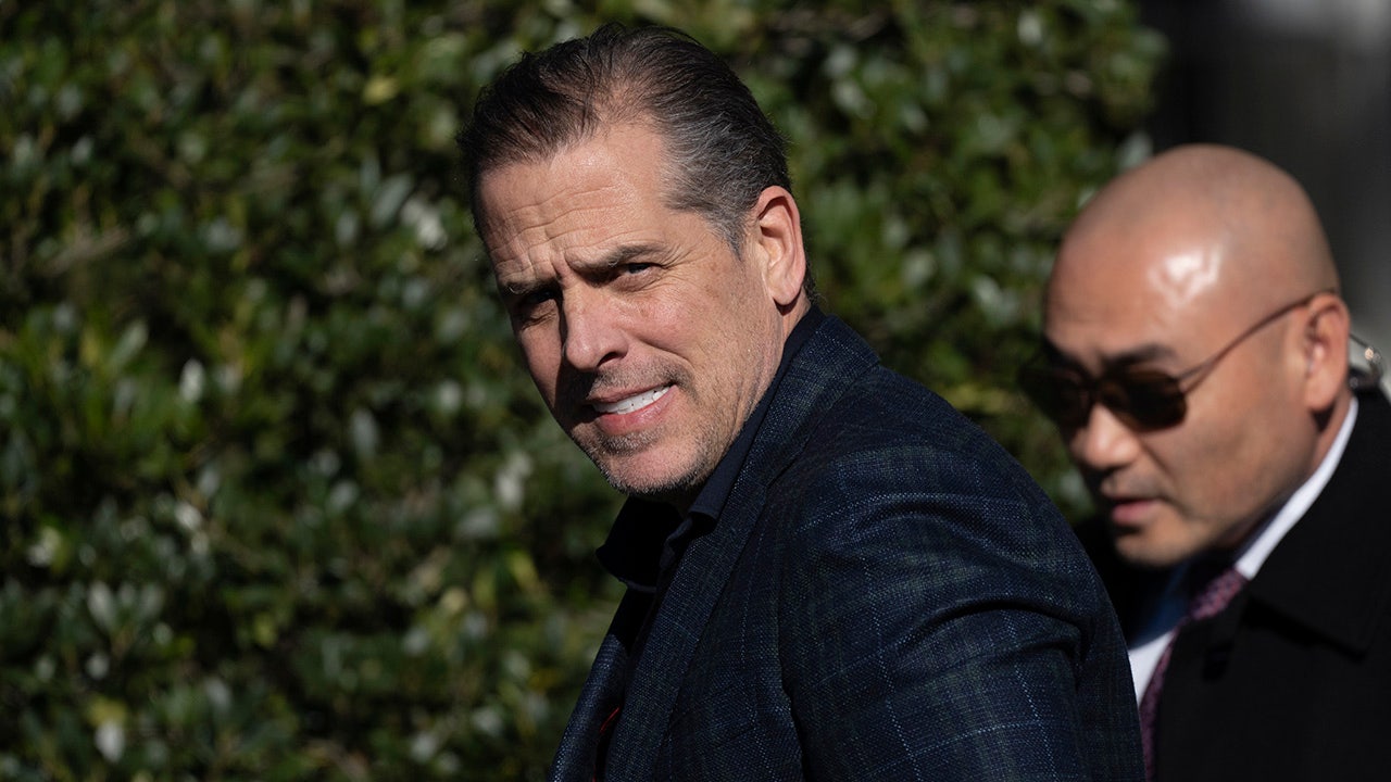 Hunter Biden on White House South Lawn