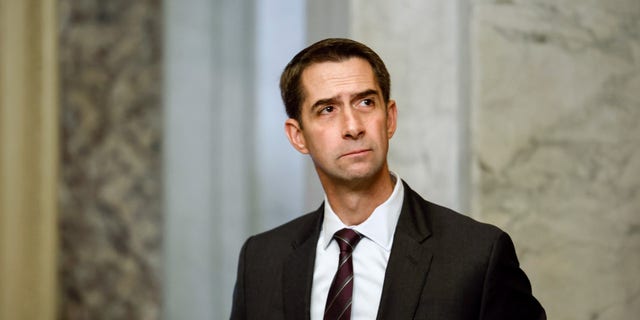 Republican Arkansas Senator Tom Cotton