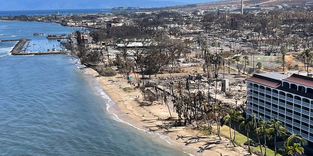 Maui fire damage