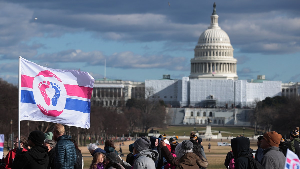 Annual March For Life Held In Washington, D.C.