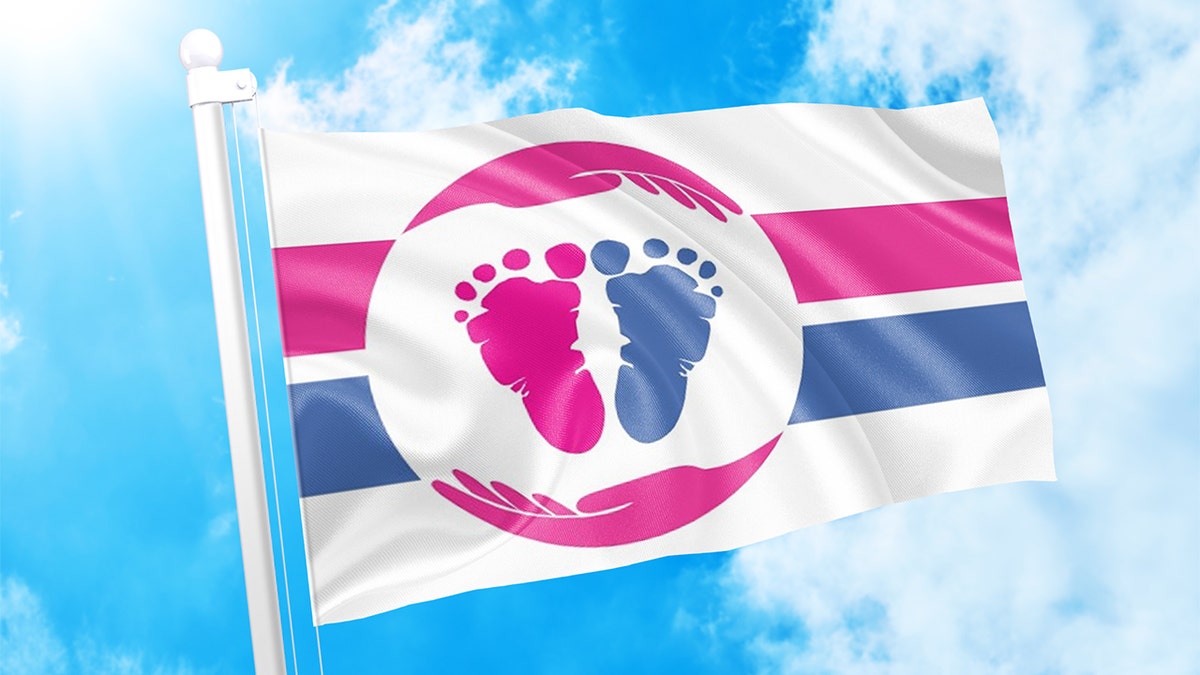 The Pro-Life Flag