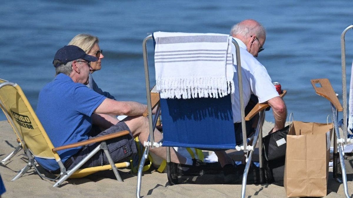 Bidens on the beach