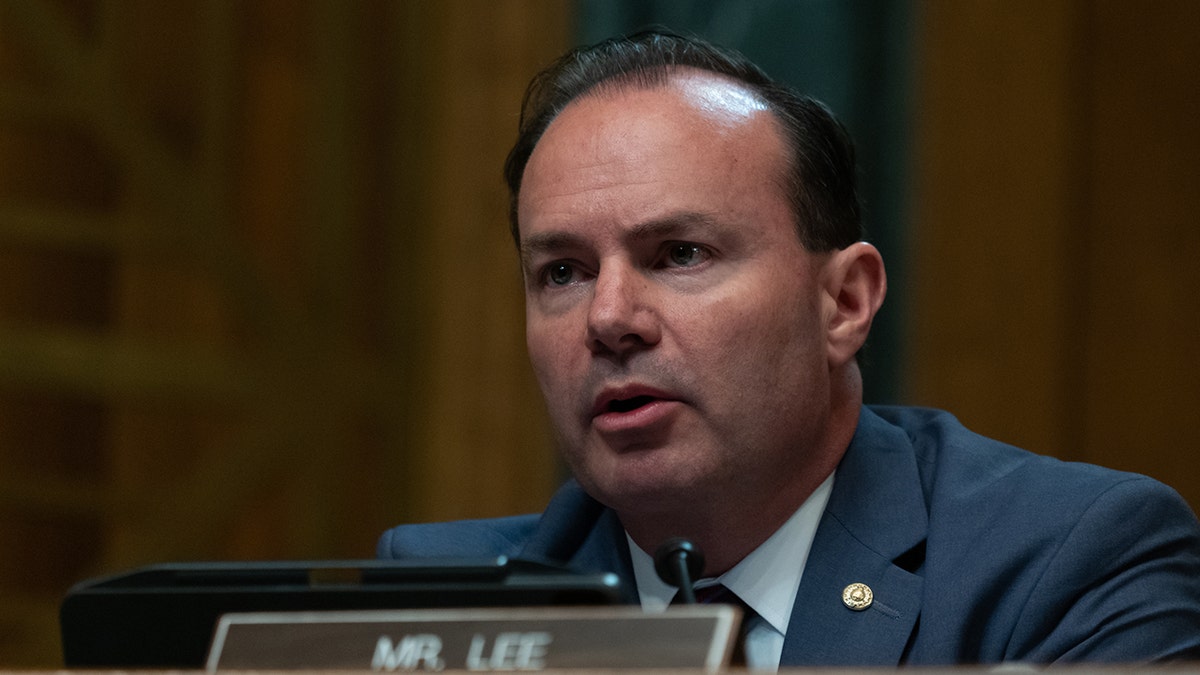 Mike Lee at Senate hearing