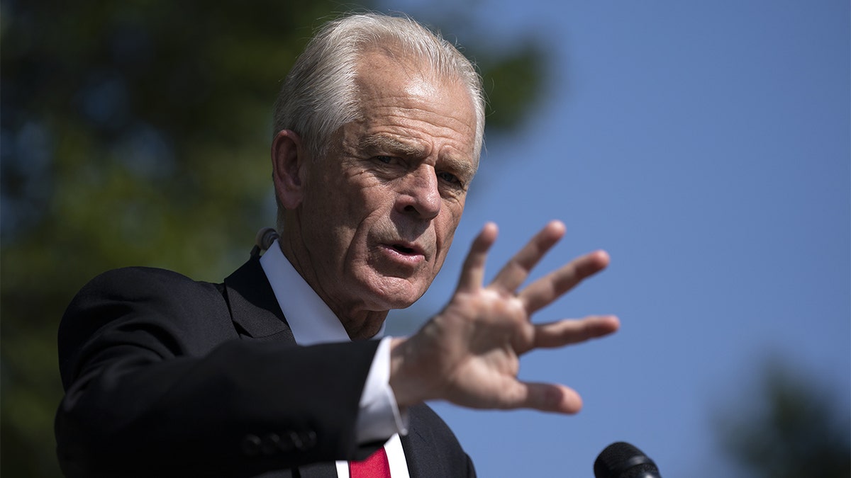 Former Trump adviser Peter Navarro speaks to the media in 2020