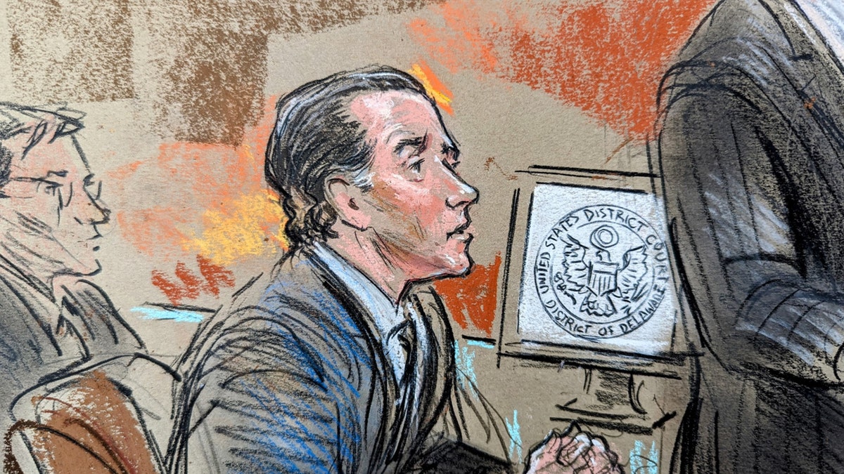 Hunter Biden in Delaware court