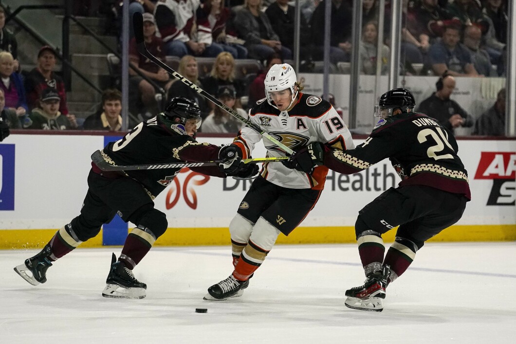 Ducks Coyotes Hockey