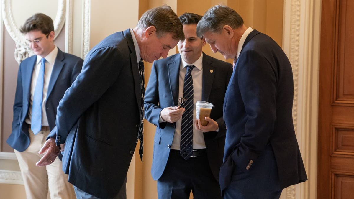 Warner, Schatz and Manchin speaking