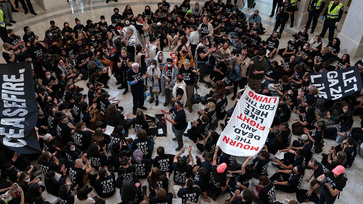 pro-Palestine protesters inside Capitol