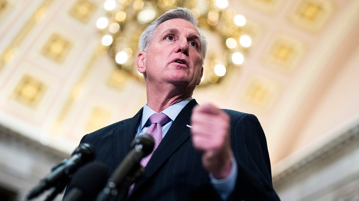 Kevin McCarthy speaks to House colleagues