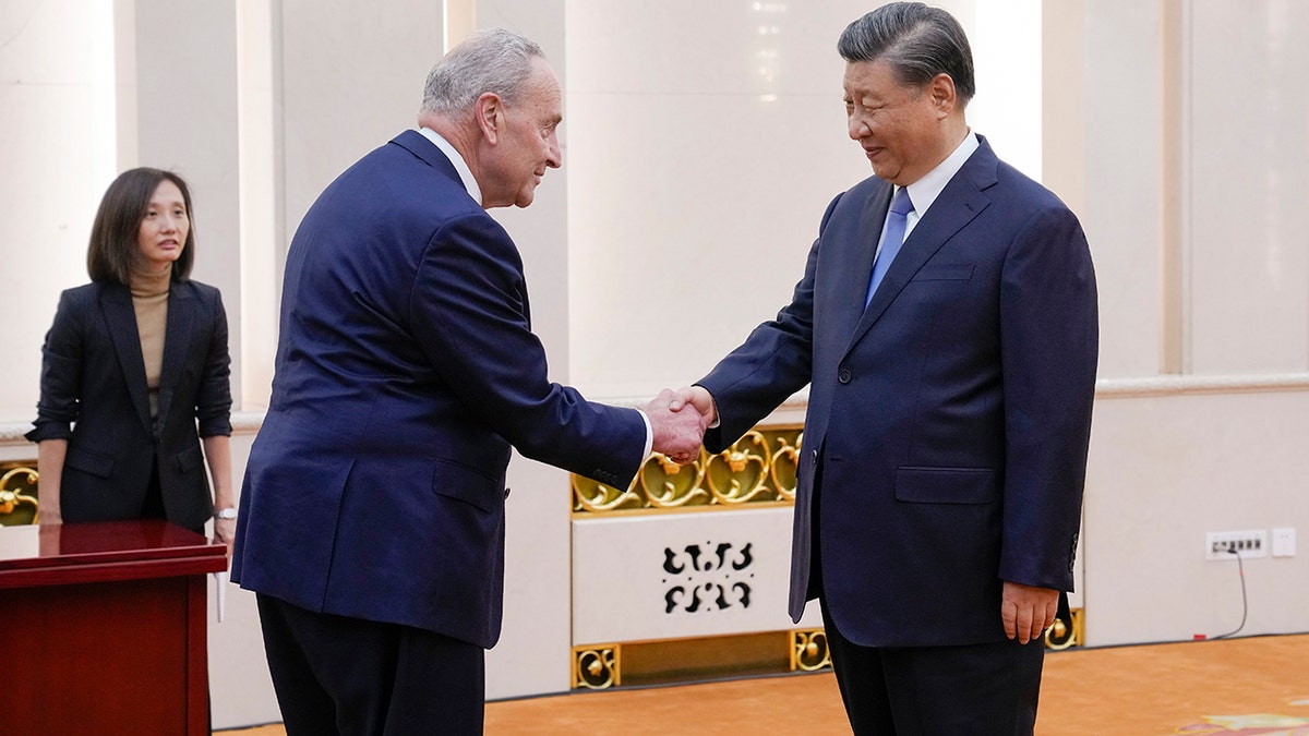 Schumer and Xi shaking hands