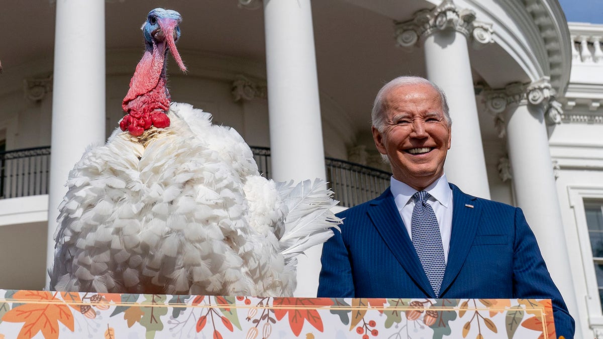 Biden pardons turkey