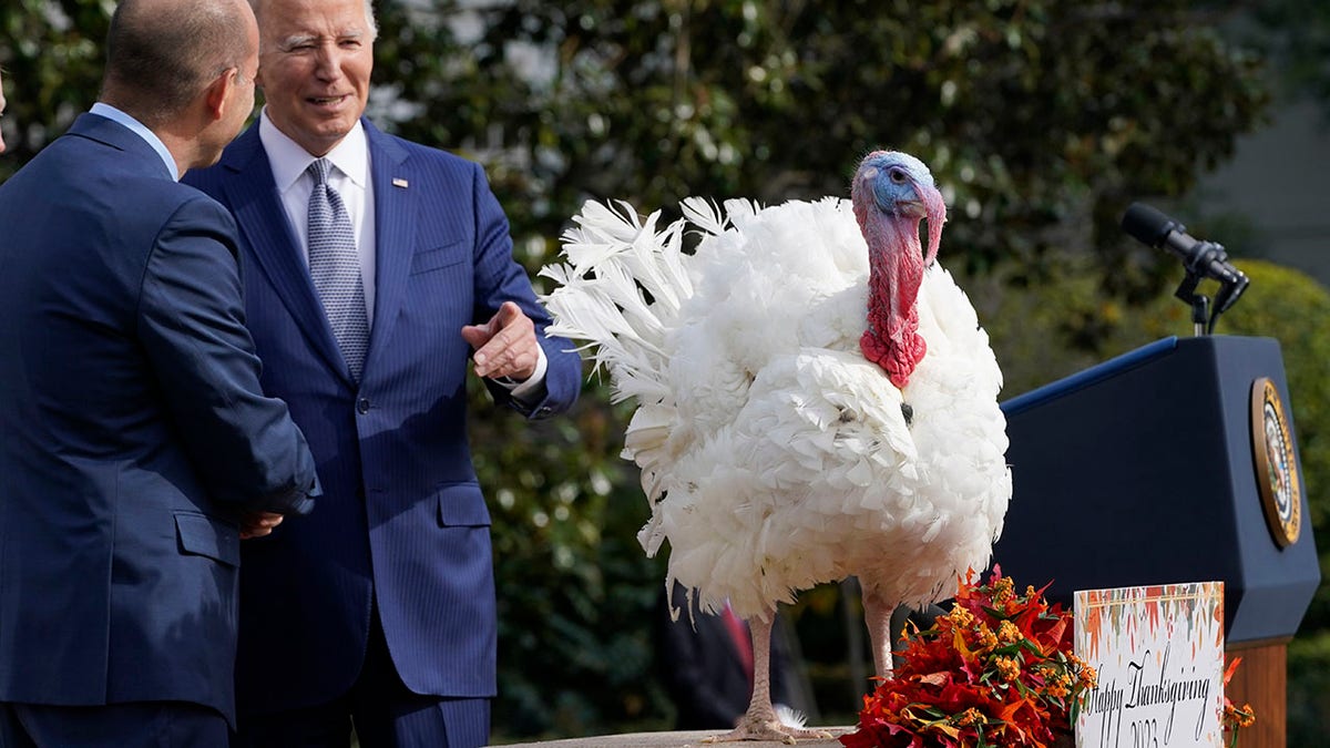 Biden next to turkey pardoned at White House event