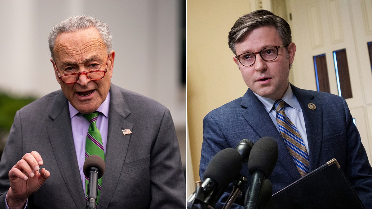 Senate Majority Leader Chuck Schumer and House Speaker Mike Johnson split