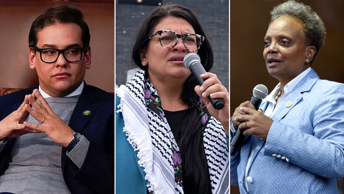 George Santos, Rashida Talib and Lori Lightfoot