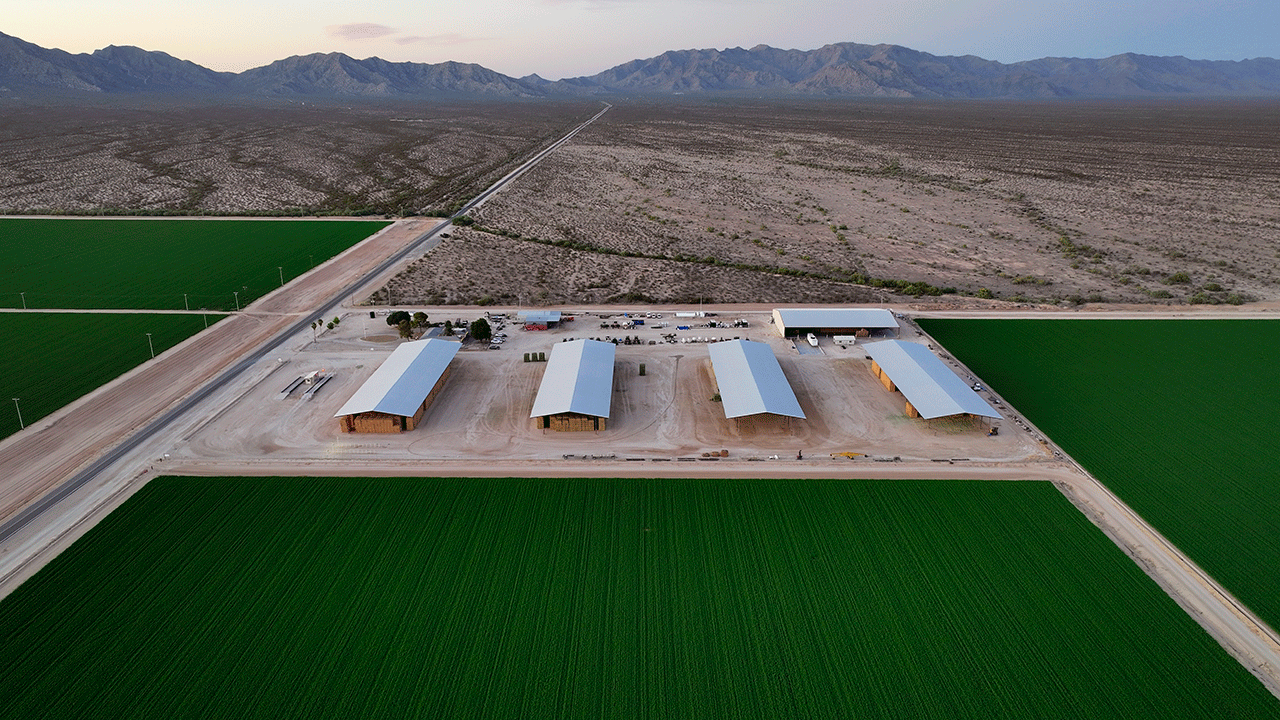 Arizona bales of hay