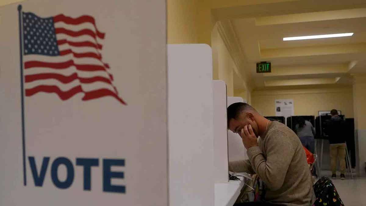 Midterm voter voting