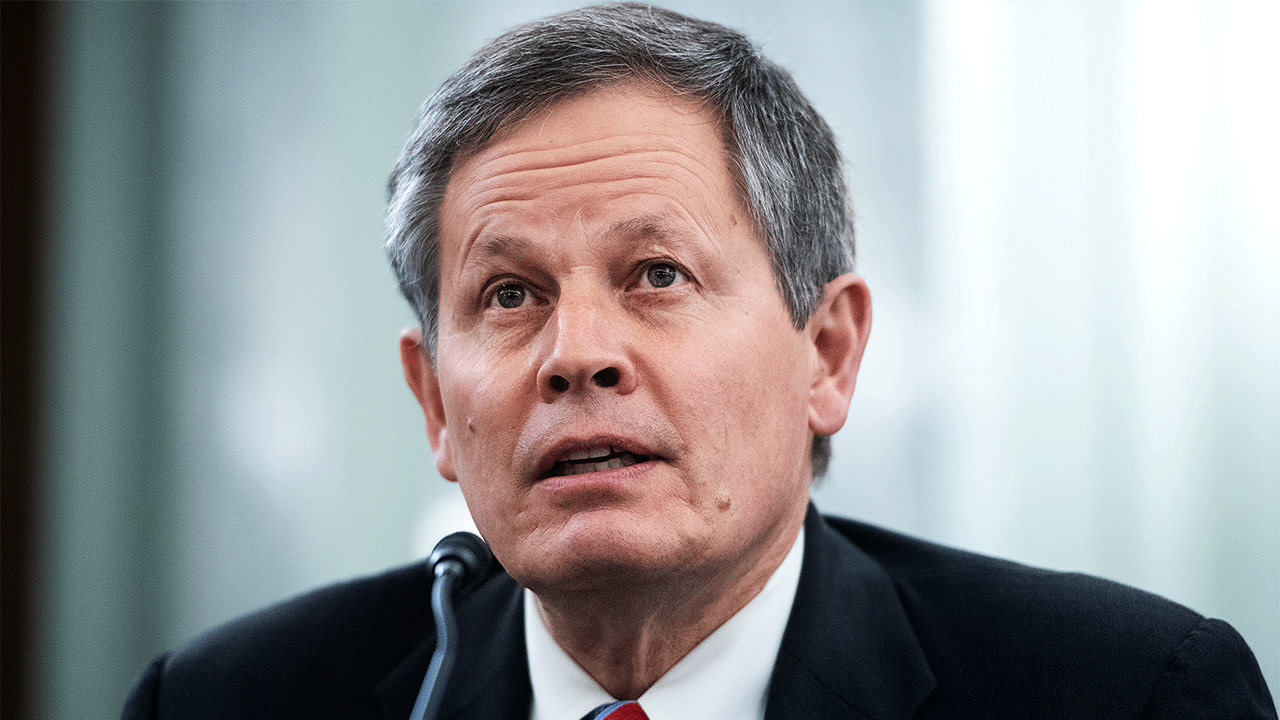 Sen. Steve Daines