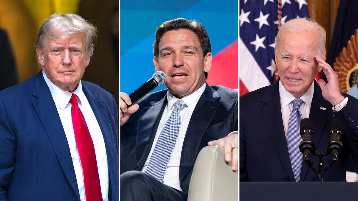 Donald Trump, Ron DeSantis, Joe Biden