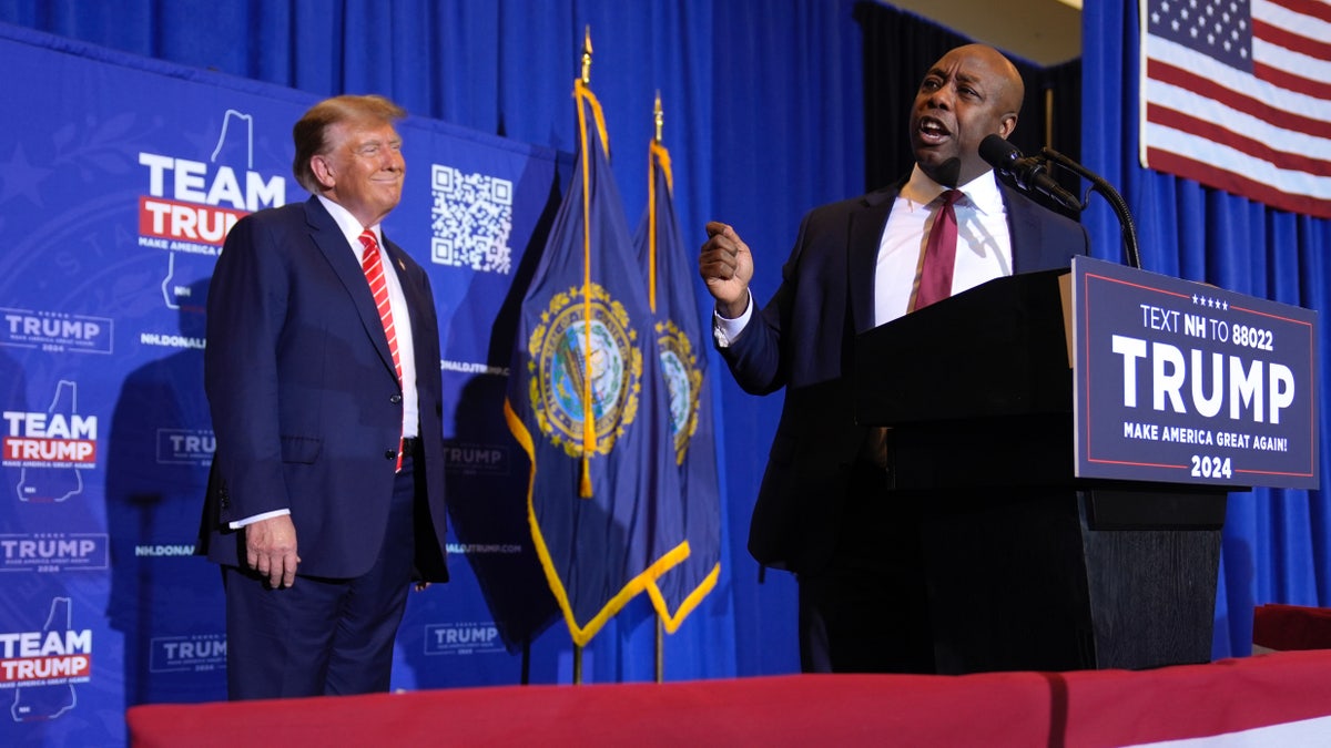 Tim Scott endorses Donald Trump for GOP presidential nomination