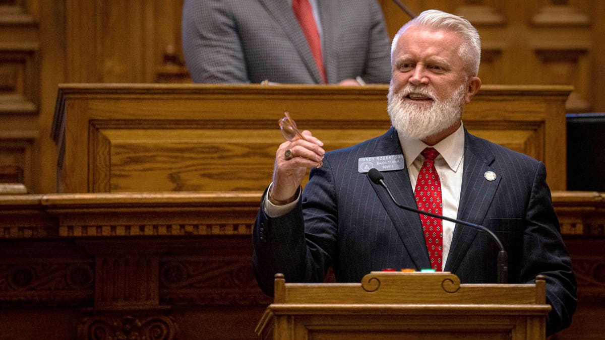 Georgia state Sen. Randy Robertson