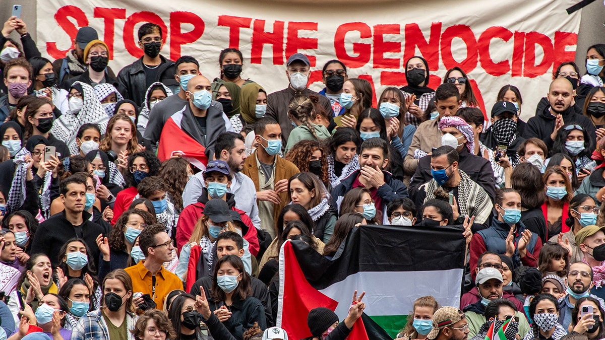 Harvard pro-Palestine rally