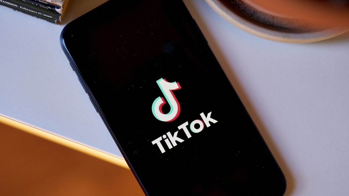 The TikTok logo