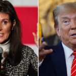 Trump says Pelosi 'probably a little bit smarter' than Nikki Haley, claims he 'purposely' mixes them up