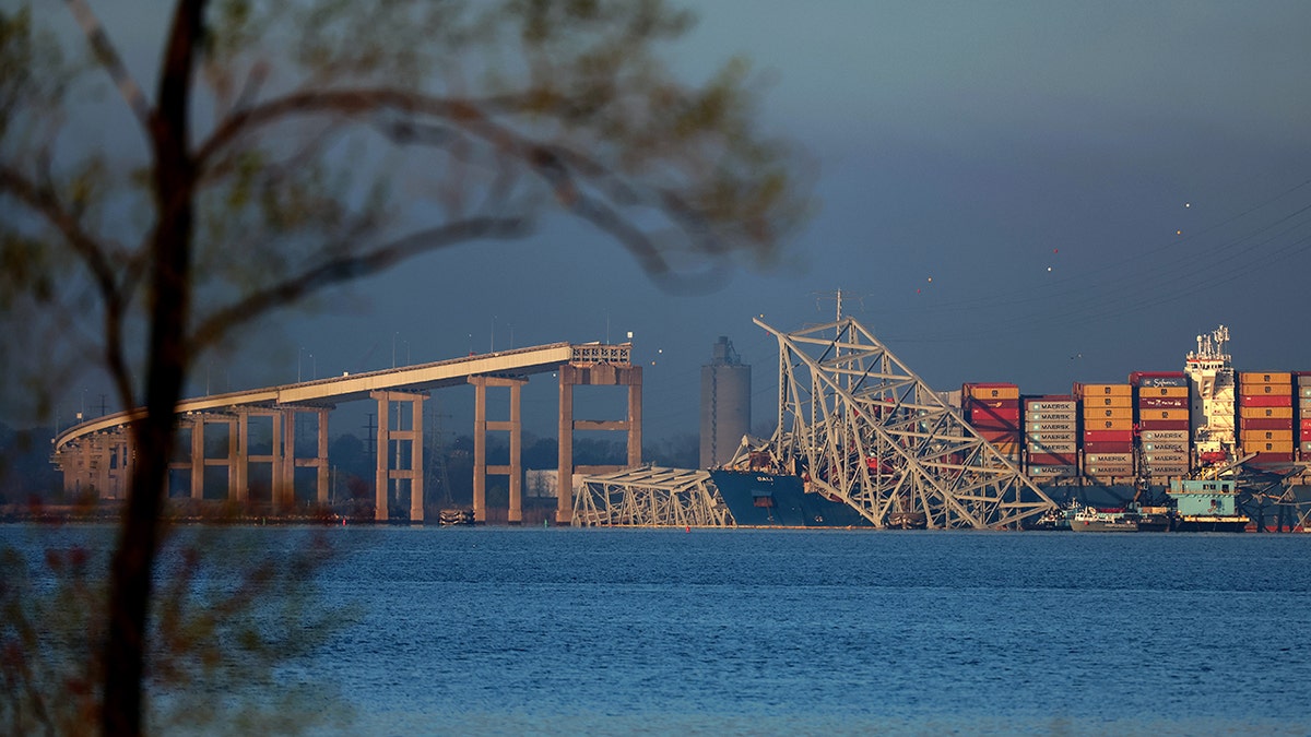 Baltimore's Francis Scott Key Bridge Collapses