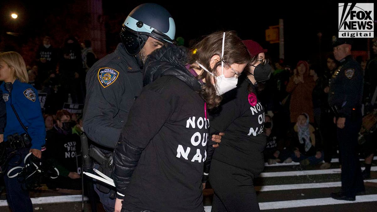 Protest outside Schumer's Brooklyn house at night