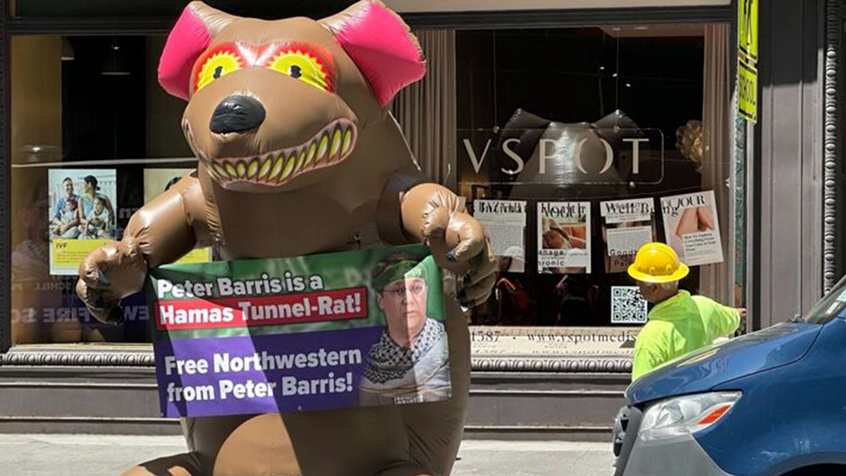 Hamas tunnel-rat demonstrator protesting Northwestern