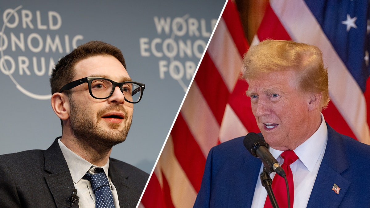 Alexander Soros, Donald Trump