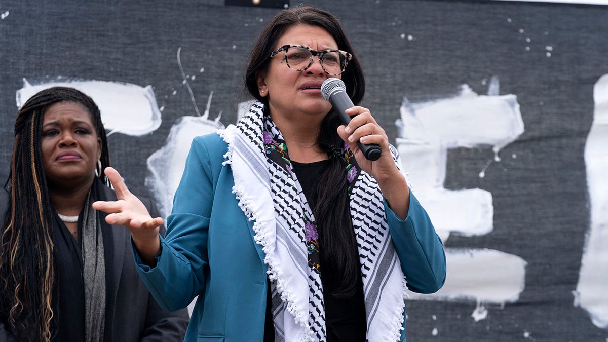 Rashida Tlaib speaks in Washington, D.C.