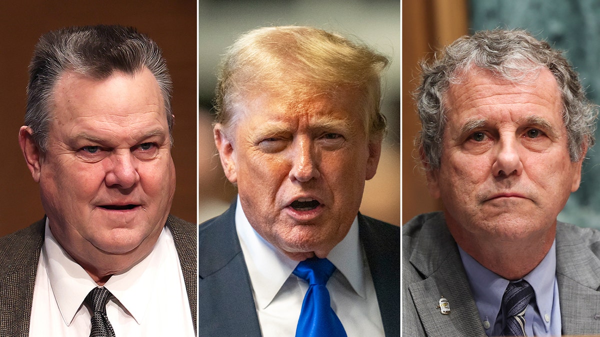 Sen. Jon Tester, former President Donald Trump, and Sen. Sherrod Brown split