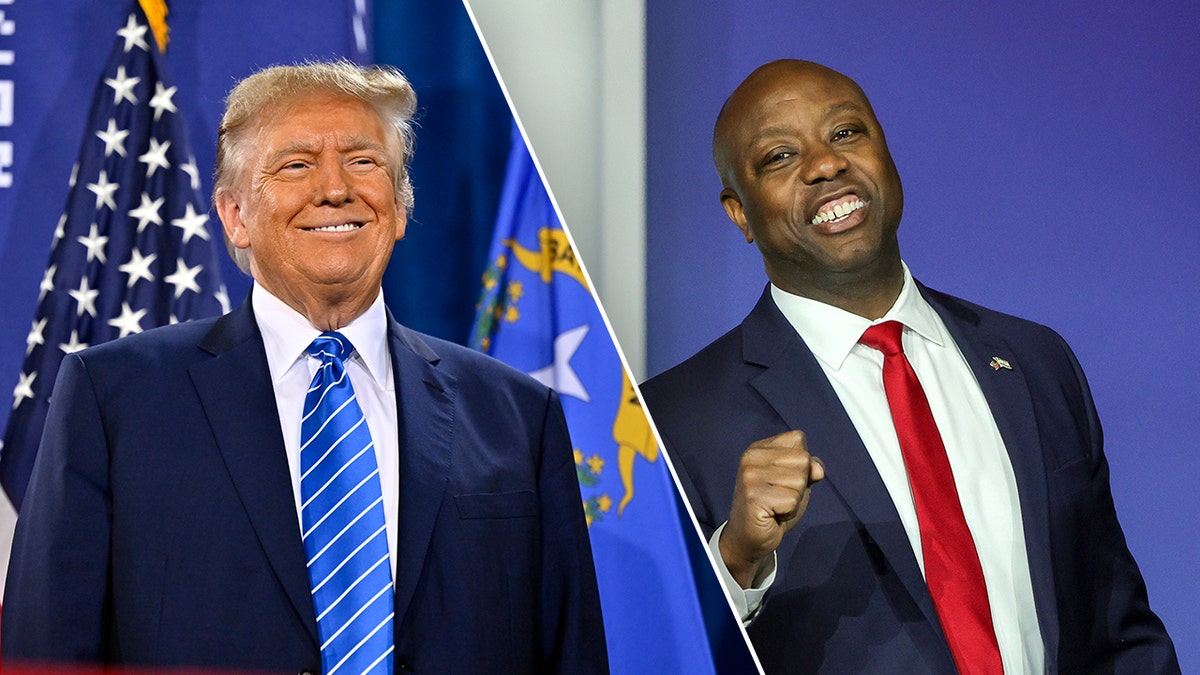 Donald Trump, Tim Scott